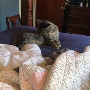 Meet your Posher, Cindy